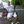 user-profile-avatar